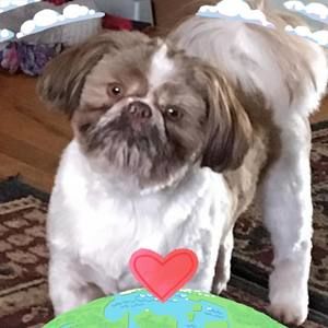 Meet your Posher, Tami